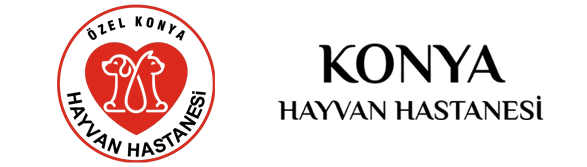 Konya Hayvan Hastanesi